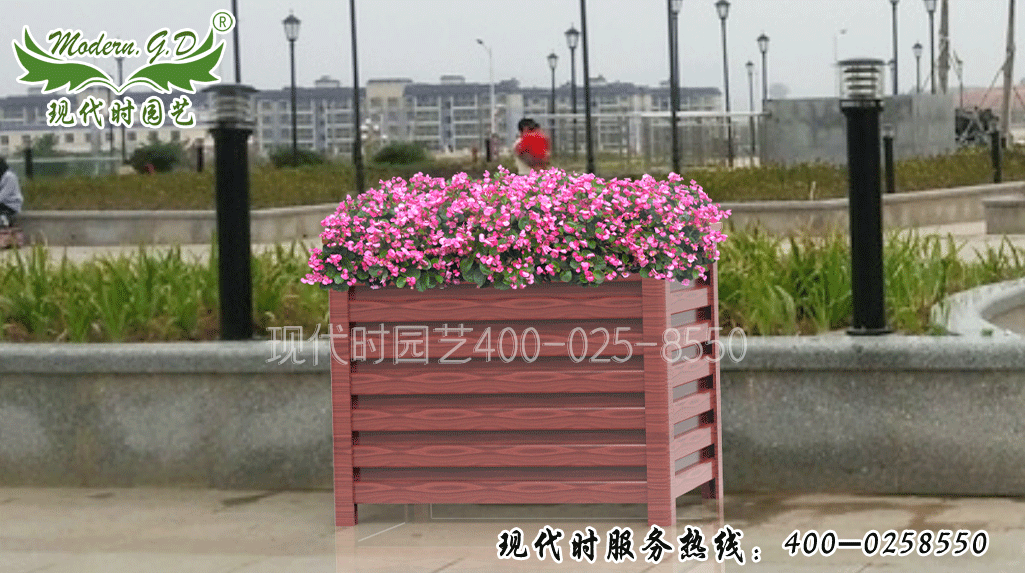 �L(zh��ng)�����X�Ͻ�����̖(h��o)��H-2